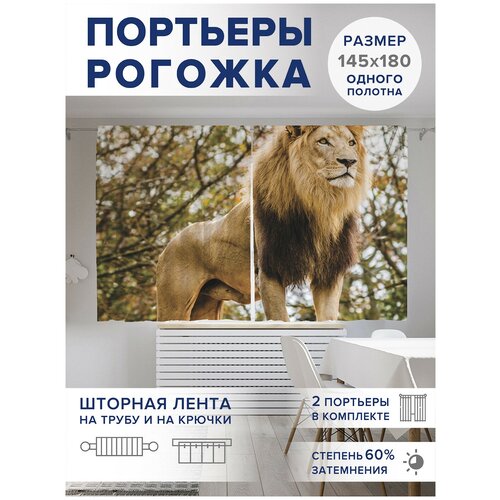 ��������� ��� ����� � ������� JoyArty Oxford DeLuxe 