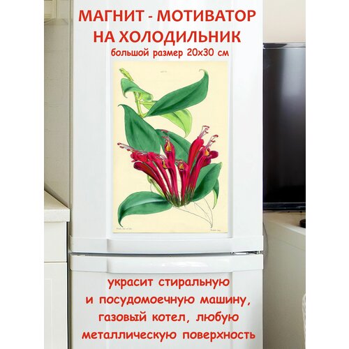 �������� ������ ������ �� ����������� 20 �� 30 �� 790�