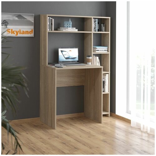     /  - SKYLAND COMP CD 1010,   , 10045141  6423