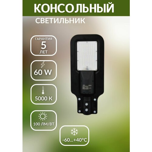   LED 60W 5000    4300