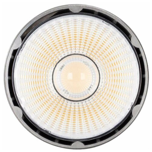 Arlight   SP-POLO-R95-25W Day (40 deg, 2-3, 600mA) 3796