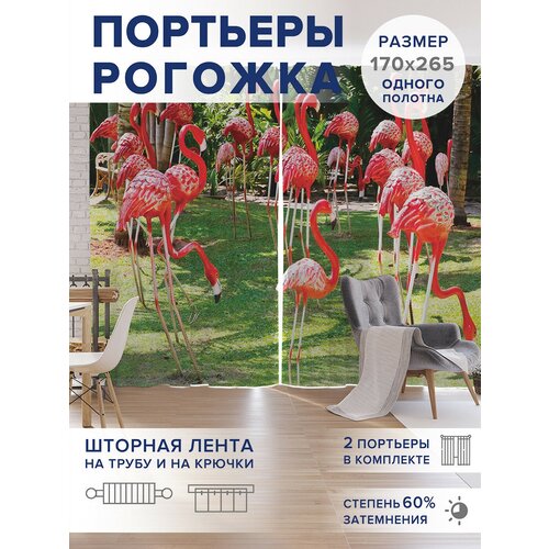 �����, ��������� JoyArty 