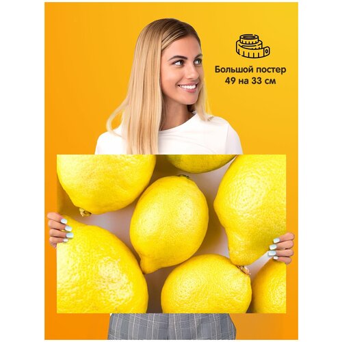  Lemons  339