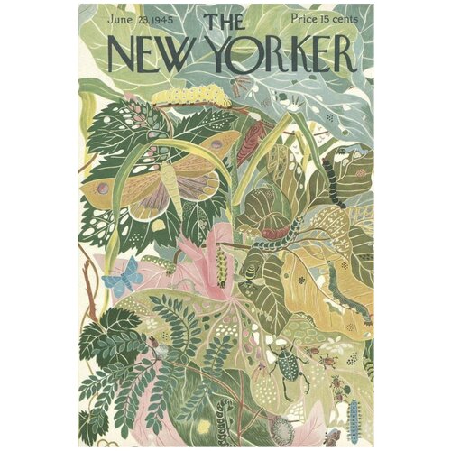  /  /   New Yorker -   6090     1450