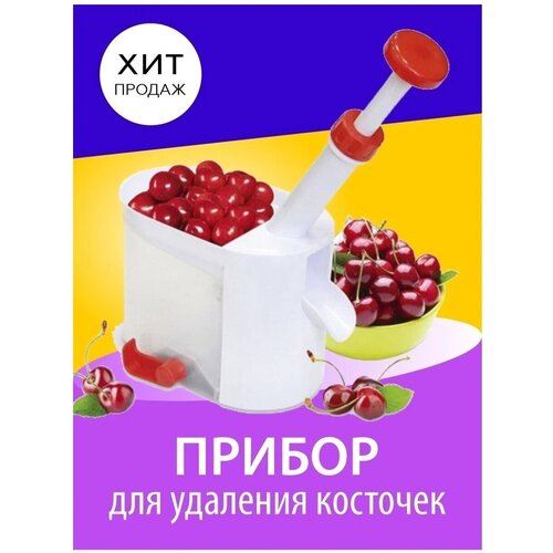 ������ ��� �������� �������� �� ����� KP-153/12-13 �� ����� � ���/��������� �����������/�����-������� 1100�