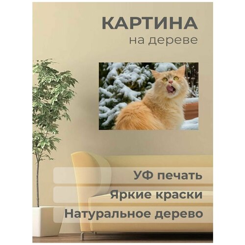 ����������� ������� �� ������ 