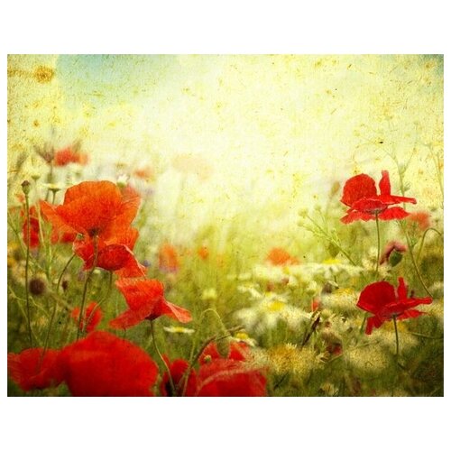       (Field with poppies) 2 51. x 40. 1750