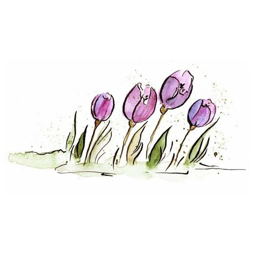     (Tulips) 15 55. x 30. 1550