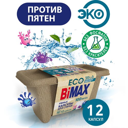    BiMax Eco 100 , 12 480