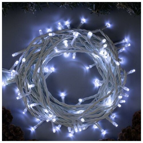   10 , IP44,  , 100 LED,  , 8 , 220  693