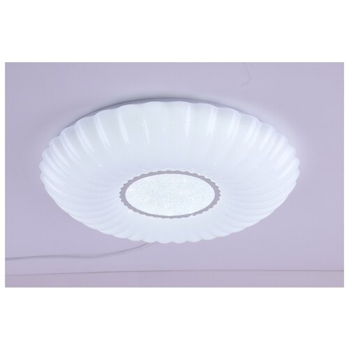 Camelion LBS-1205 (. LED -, 68 , 3000-6000K, 4800) 4451