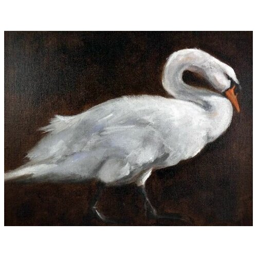     (Swan) 3 64. x 50. 2370