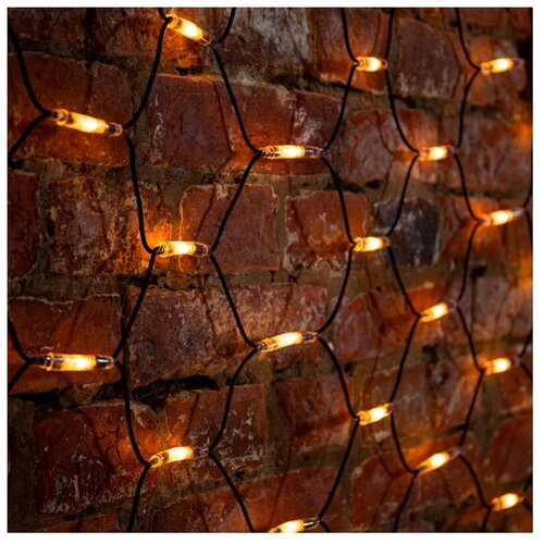  Neon-Night  2x1.5m 288 LED Warm-White 215-026 7232