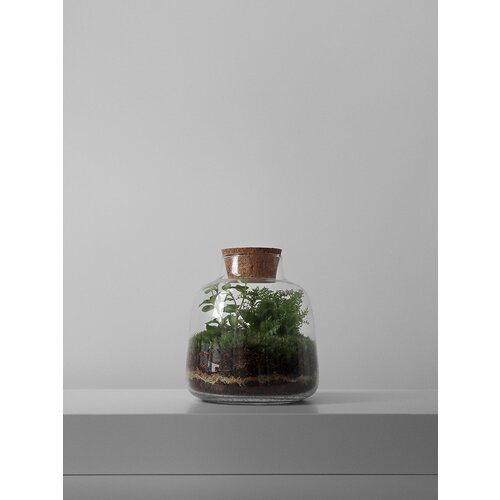 ���������� Vase S ��������� ���������� / ���������� HEIS 4390�