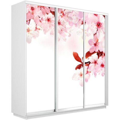 ���� �������������� �1 �������� ���� ����� ���� 210-220-45 sakura 37842�