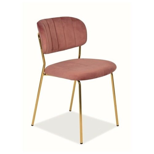 ���� SIGNAL CARLO VELVET, ������� �������� / ����� ������, ��.151 12610�