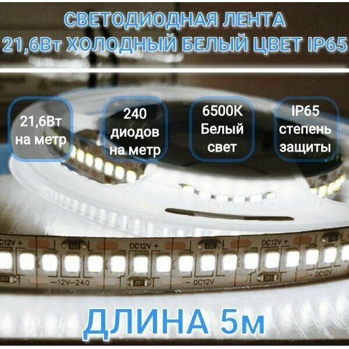  LED   12V, 21,6, SMD 2835-240   1., 6500K  ,  IP65,  5,  1479  SmartBuy