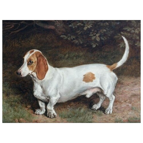      (Dog) 4 54. x 40.,  1810   