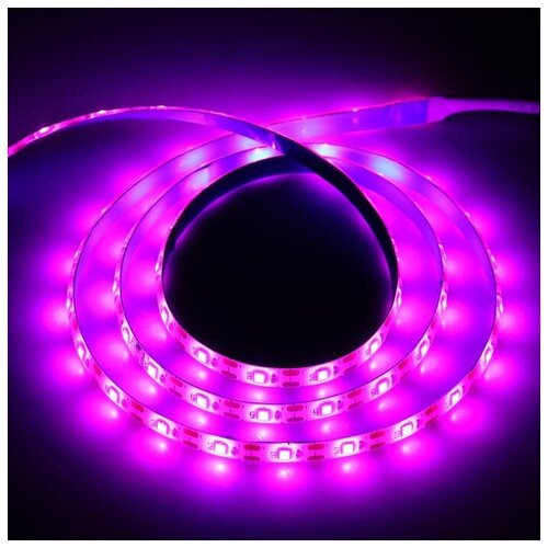   Luazon, 5 , SMD5050, 2 , IP20, 10.3 , 60 LED/, ., USB 879