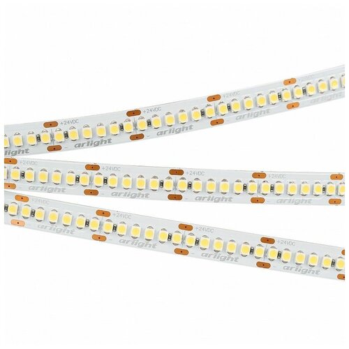    Arlight 19,2W/m 240LED/m 3528SMD   5M 017431(2),  4890  Arlight