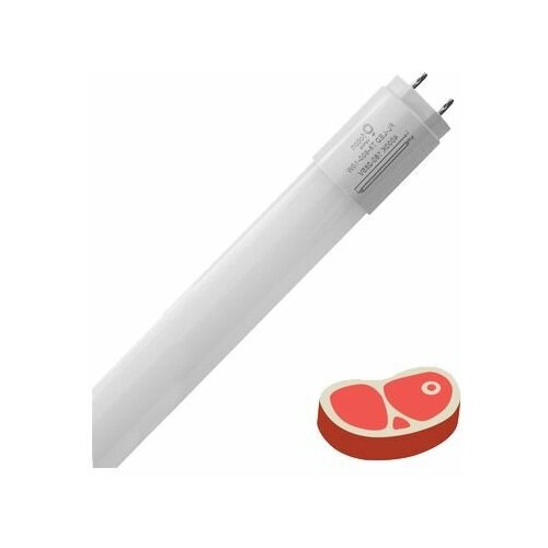 FL-LED T8- 600 10W MEAT G13 (220V - 240V, 10W, 600mm) - ����� ������ 1877�