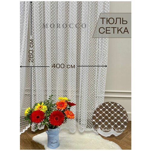 ���������� ���� ���������� � �������� � �������� 400x260 ��. 2756�