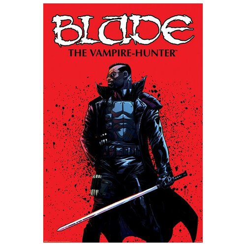  Maxi Pyramid:  (Blade)    (The Vampire Hunter) (PP34603) 91  1490