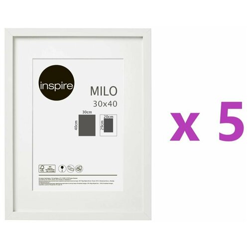  Inspire Milo, 30x40 ,  , 5  4030