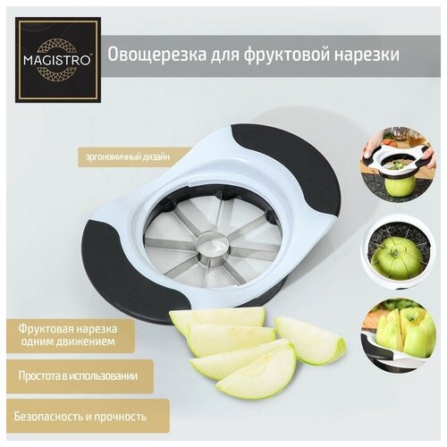 ���������� ��� ��������� ������� Magistro Vegan pro, 18,5?12?4 ��, ���� �����-����� 437�