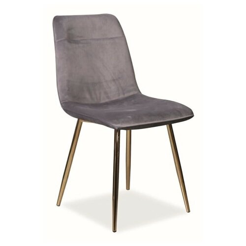 ���� SIGNAL EROS VELVET, ����� / ����� ������, ��. BL14 6620�