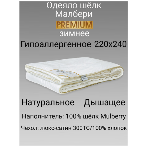 ظ  140205  Premium 41900