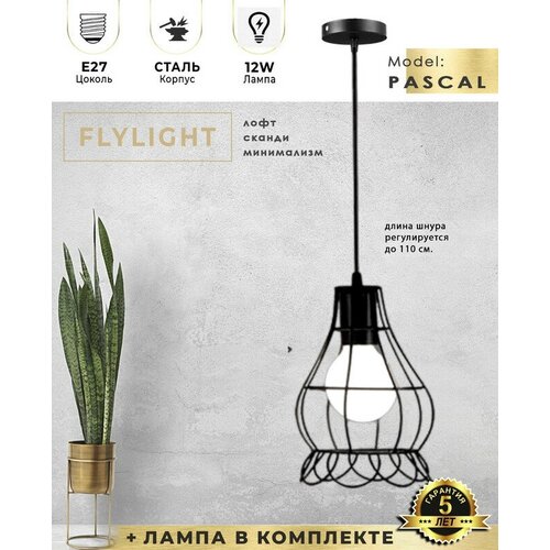  Flylight PASCAL     /  12W - 4000K (),   LOFT 4969