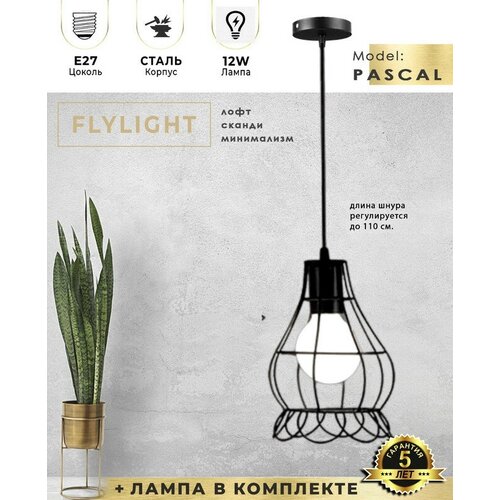    Flylight PASCAL     /  12W - 4000K (),   LOFT,  4969  FLYLIGHT