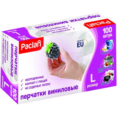    L 100       Paclan 590