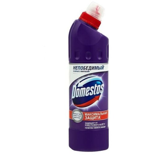  , Domestos, 450  399