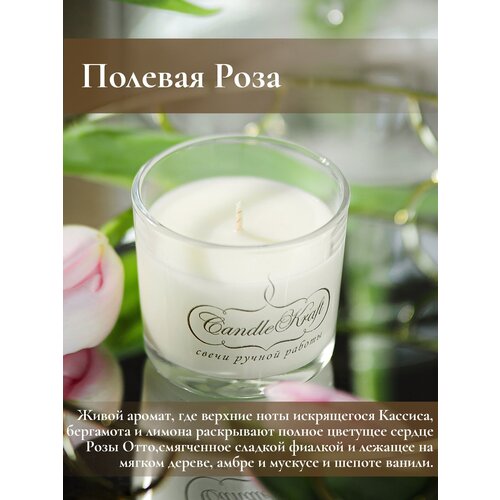       CandleKraft Wild Rose Aroma Mini 