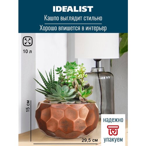   IDEALIST LITE , , , 29.5 15  1929