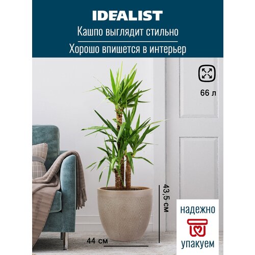   IDEALIST LITE , , ,  , 44 43.5  3843