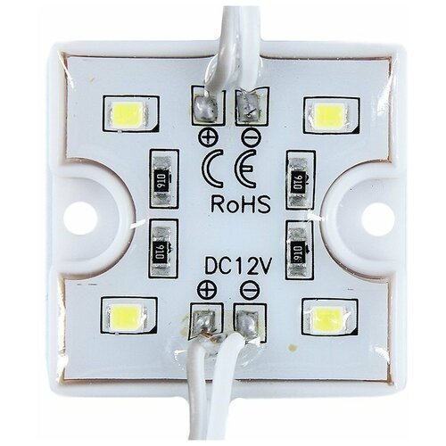   SmartLight 12V IP65 SMD3528 0.48  120 36 .  500