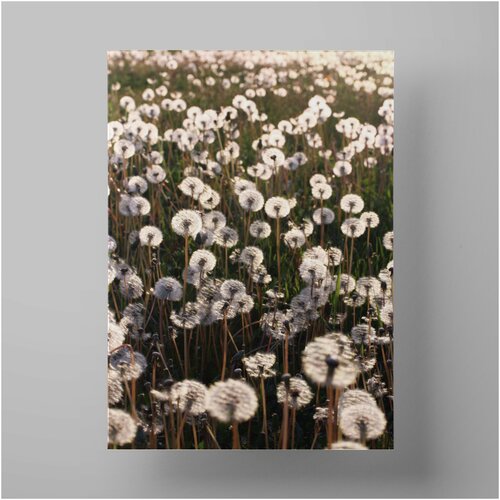   , Dandelions flowers 3040 ,     590