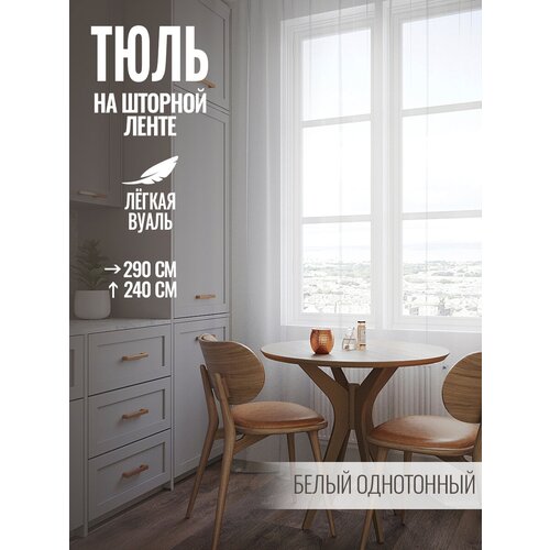 Favia / ���� ��� ������� ������ 260 ������ 290 | ���� ��� ����� | ����� ��� ������� | ����� 950�