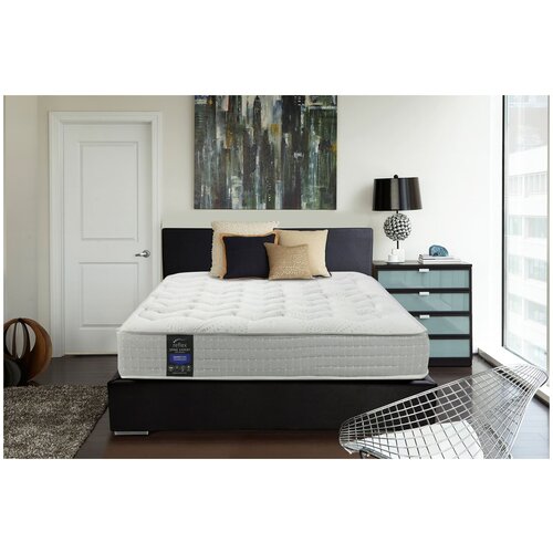 ������ Reflex Spine Expert 55290�