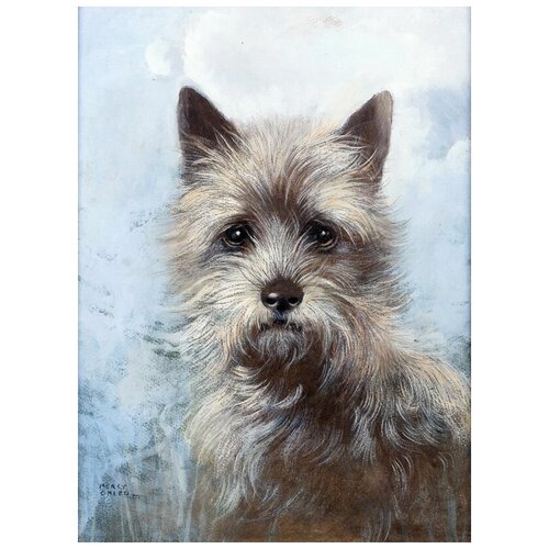      - (Portrait Of A Cairn Terrier)   30. x 41.,  1260   