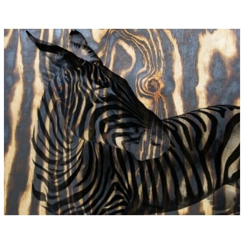     (Zebra) 1 51. x 40. 1750