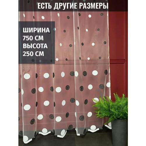 ���� �������, ����������, ������� ������, ������ 750x250 �� 6658�