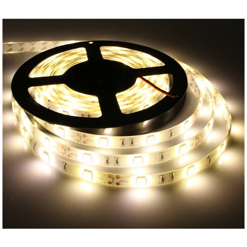    SMD5050-30LED-12V Double line standart 5. -  :  3000-3500K,  2400  Clever-light