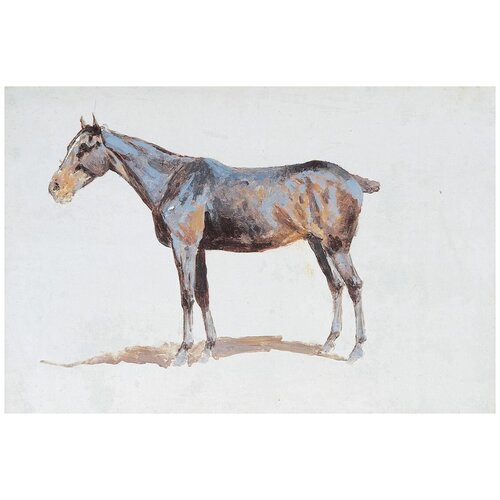     (1899) (Untitled horse study)   75. x 50. 2690