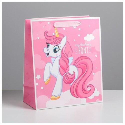      My darling pony, ML 23 ? 27 ? 11,5  162