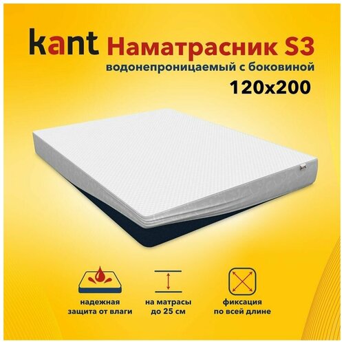  Kant    S3,12020025 1587