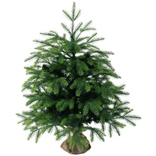 ��� ������������� ����������� � �������, (����� ���� ��+PV�), 1.0 �, ���� ����, EverChristmas 6030�